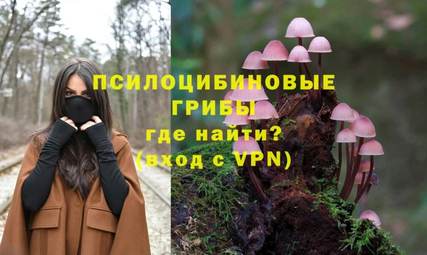 дмт Нефтегорск